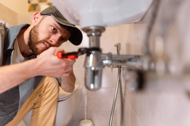 Best Local Plumber Services  in Galesville, WI