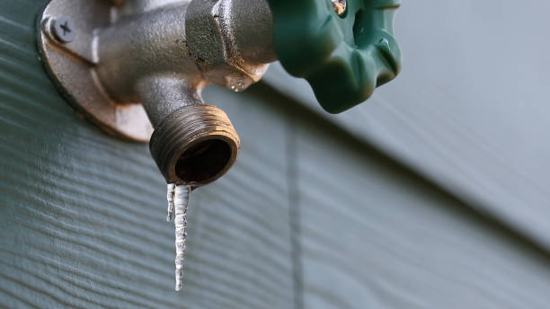 Best Plumbing Inspection Services  in Galesville, WI
