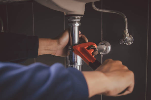 Best Commercial Plumbing Services  in Galesville, WI